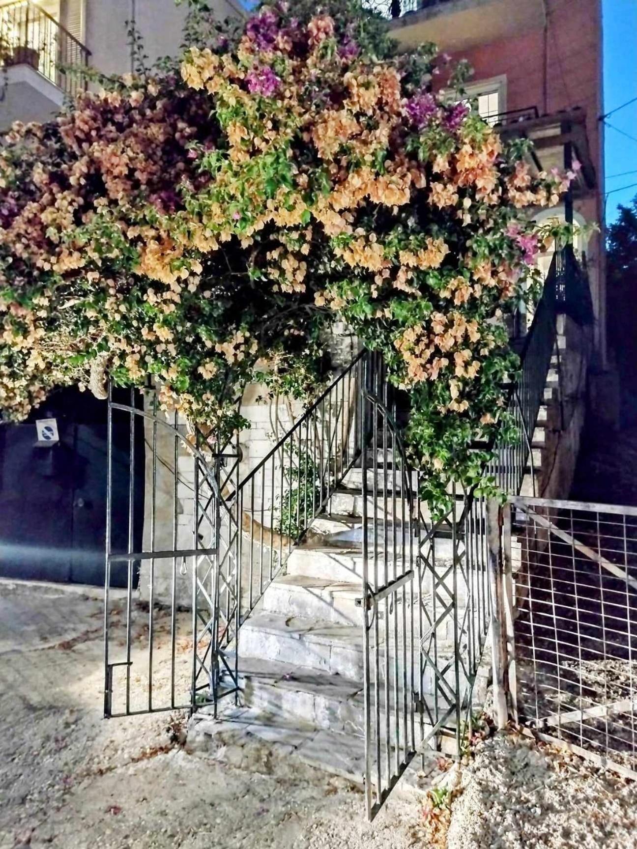Corfu Pelekas Apartment 2 Экстерьер фото
